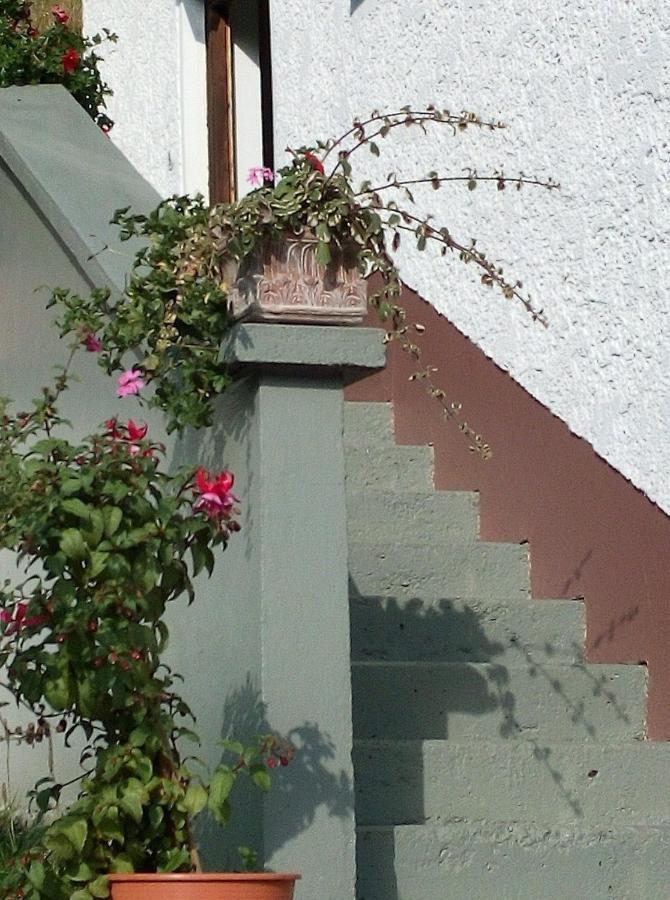Ferienhaus Gassner Navis Extérieur photo
